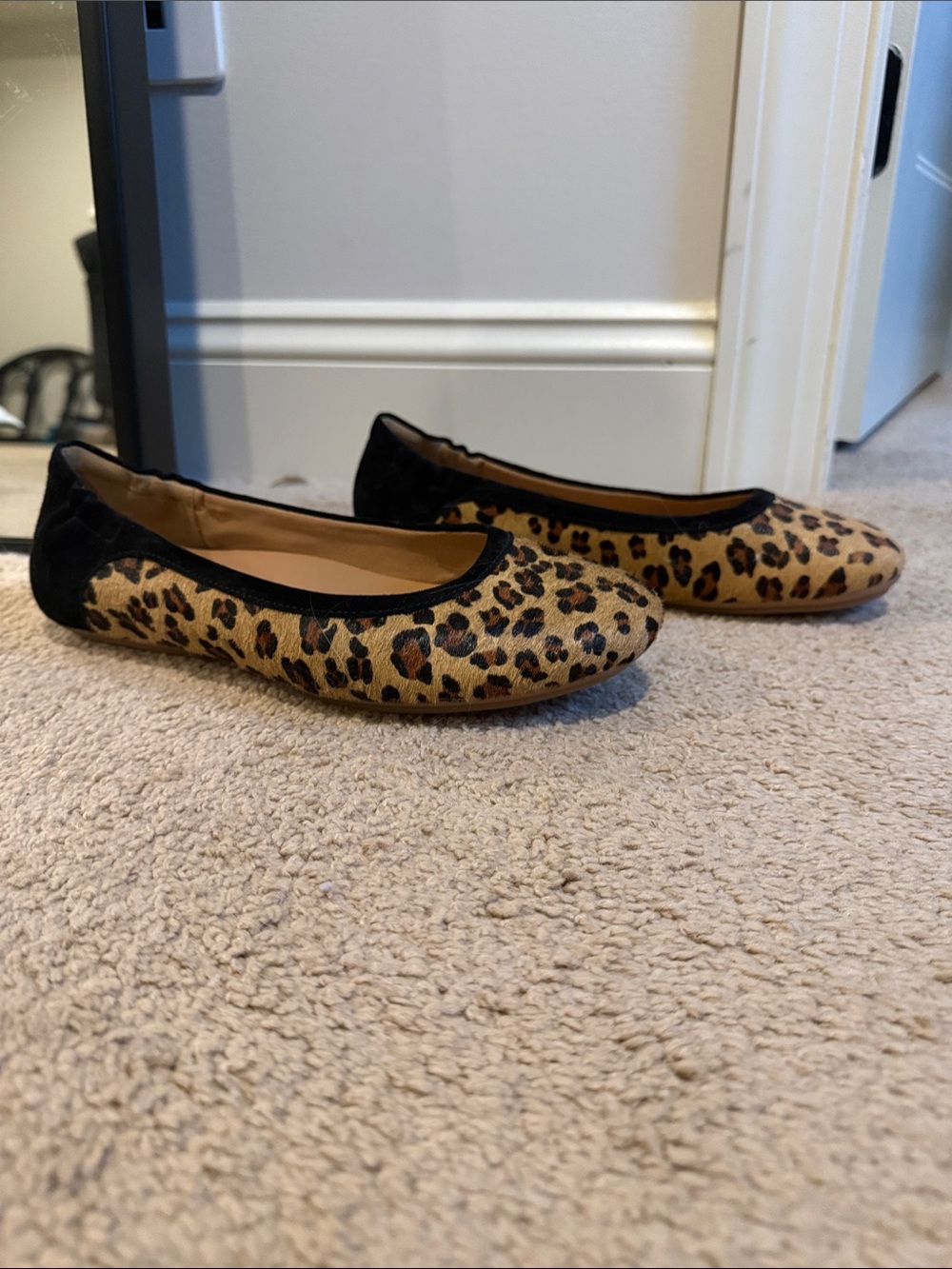 Dansko Leopard Print Ballet Flats with Black Trim